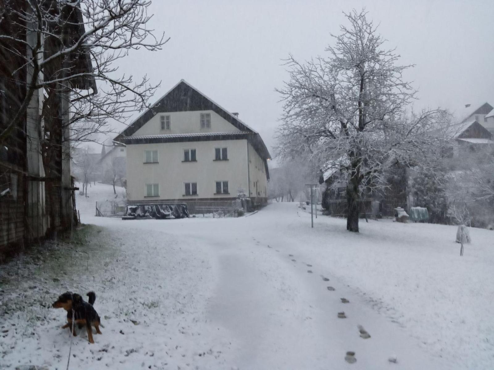 Domacija Markc Zelezniki Esterno foto