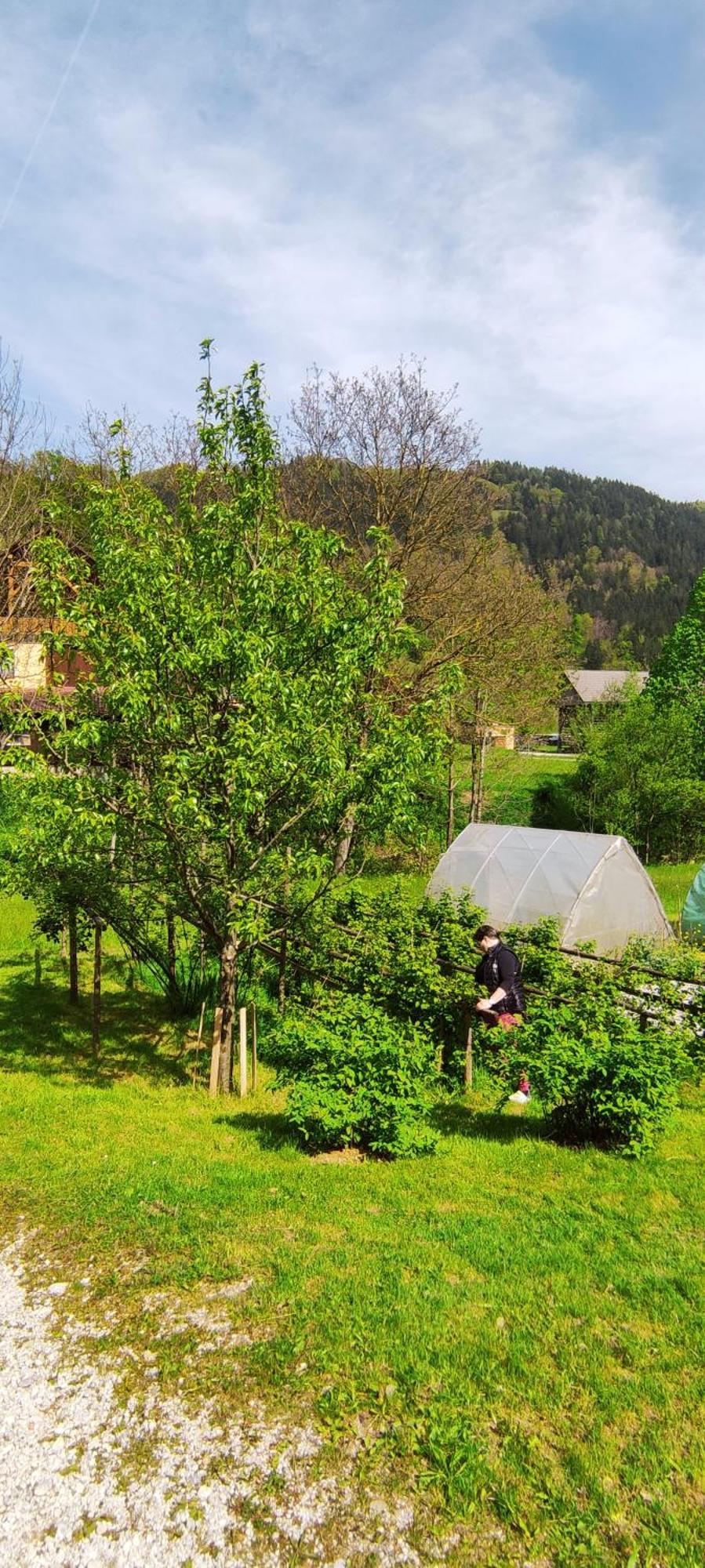 Domacija Markc Zelezniki Esterno foto